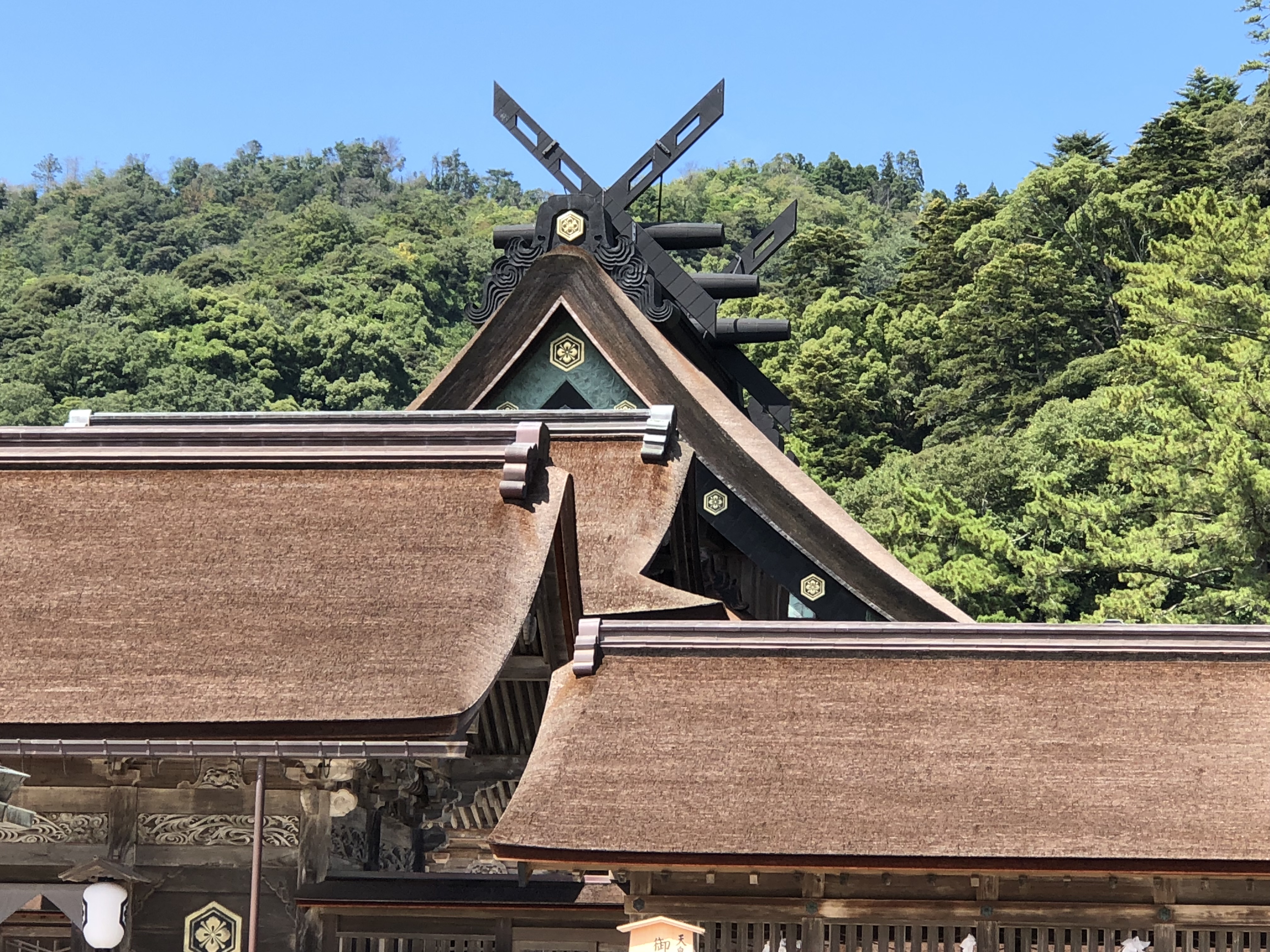 出雲大社(いづもおおやしろ）ワンコの旅。