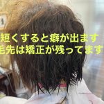 くせ毛の悩みが悩みでなくなる日